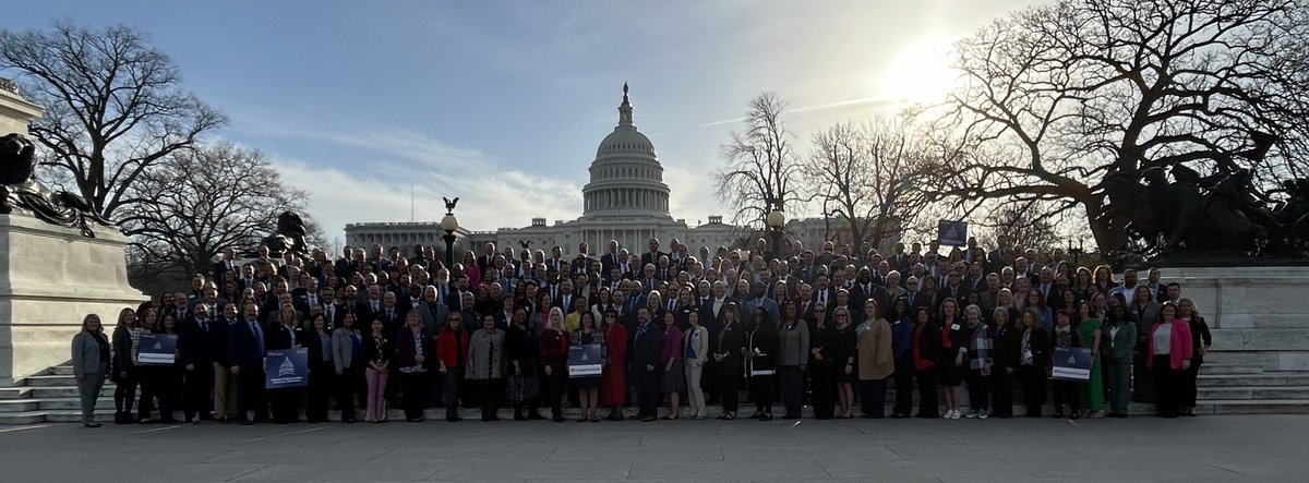 Cathy Wong-Li tweet media