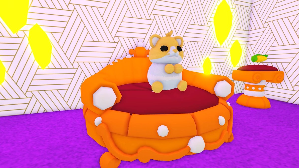 The weekly update video premieres in 15 minutes!! 🐹👑

vist.ly/39v8i