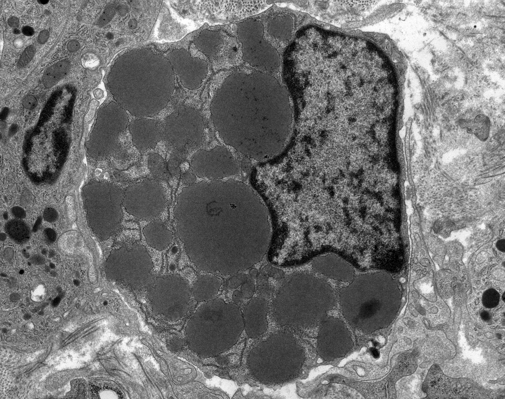 Jonathan Zuckerman MD PhD tweet media