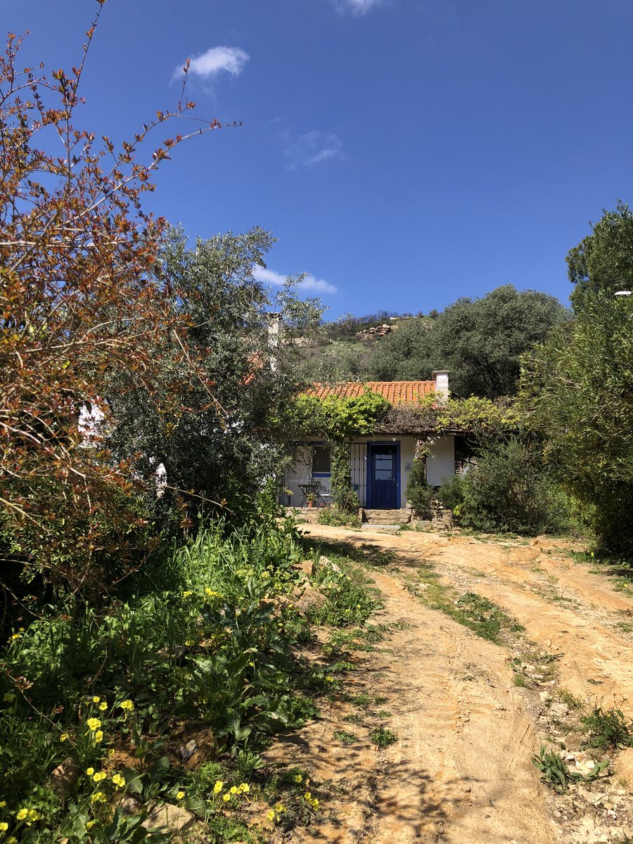 Lucy_Hammo's tweet image. Here in Palmela, Portugal for the @EuPlayon Digital Campus! Welcoming 20 students from all over Europe to create digital interventions in the landscape 👀 @pilot_theatre