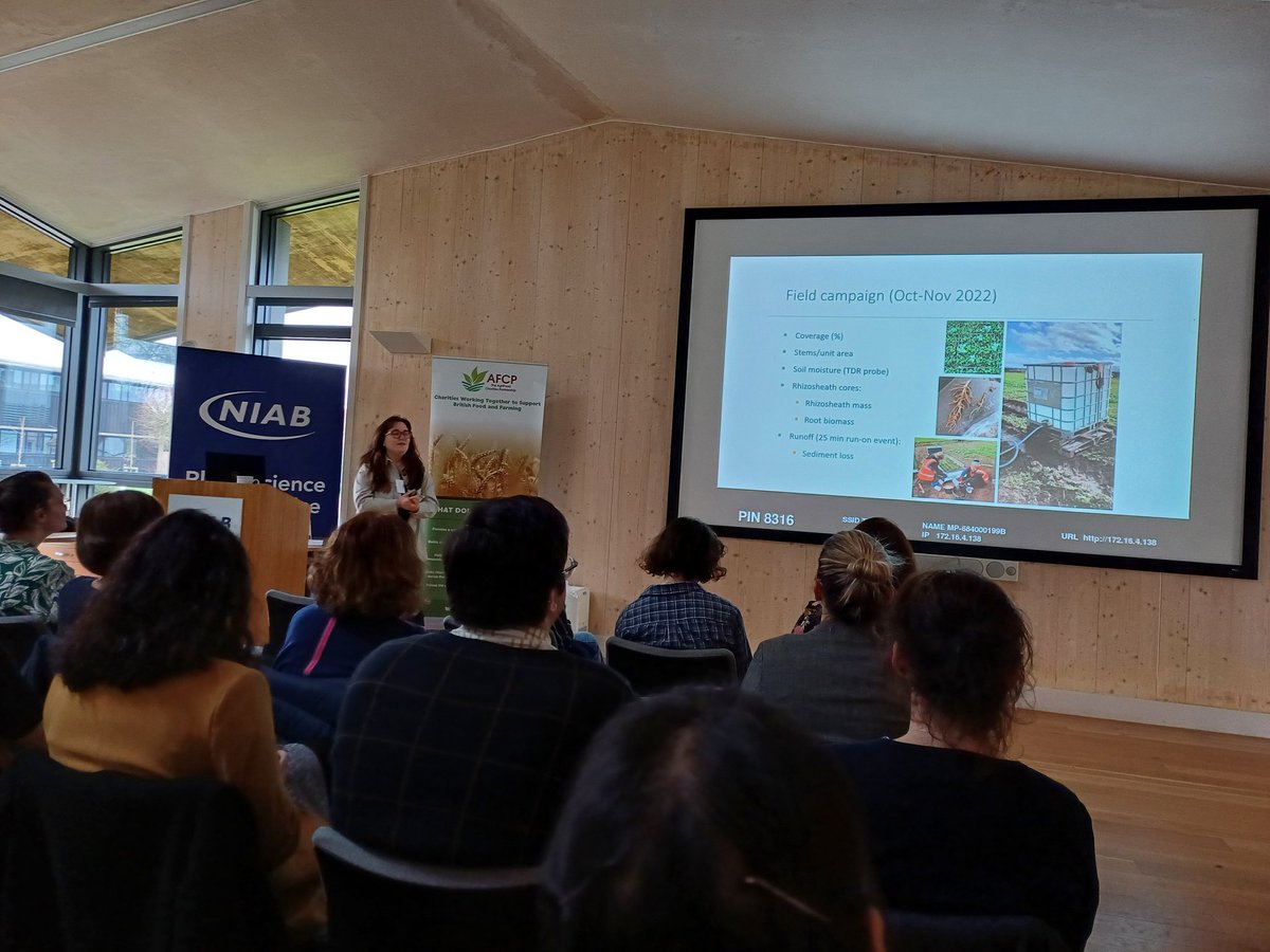 Top talk from @CrisMcBride on cover crop biodiversity, rhizosheath development and runoff control at @PerryFound1937 conference @JamesHuttonInst @LancsUniLEC @AlisonKarley