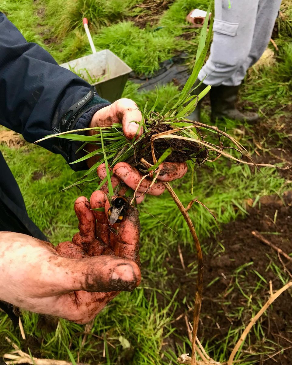 AidBoxCommunity's tweet image. 🐝Exciting Announcement: New Gardening Group with Bridge Farm Bristol! 🌱

We will be clearing weeds, planting seeds, harvesting veggies and cooking with them. As well as fostering connections &amp;amp; acquiring new skills &amp;amp; knowledge. Stay tuned for updates &amp;amp; growth! 🌻