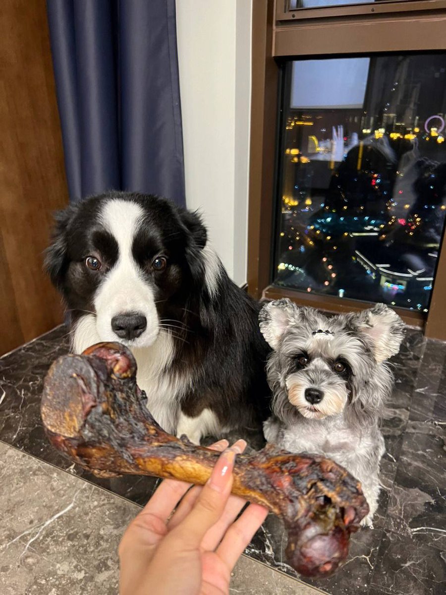 Olivia#An (@dx_olivia16) on Twitter photo 