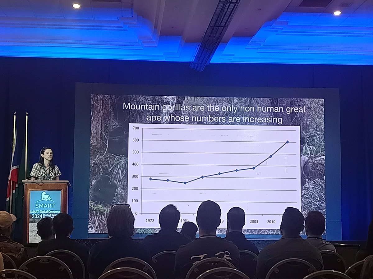 Esto se acaba! Finalizan las sesiones del congreso de smart aprendiendo sobre la conservación del gorila de montaña.