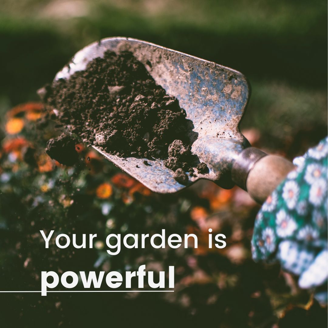 waterdocsff's tweet image. Your garden has the power to affect change. What you choose to put in it this spring CAN make a difference. 🌱 

Join us on Friday, March 22nd (#WorldWaterDay) for The Promise and Problem of Peat, a charity gardening event in Toronto.

Full details: eventbrite.ca/e/849057873957…