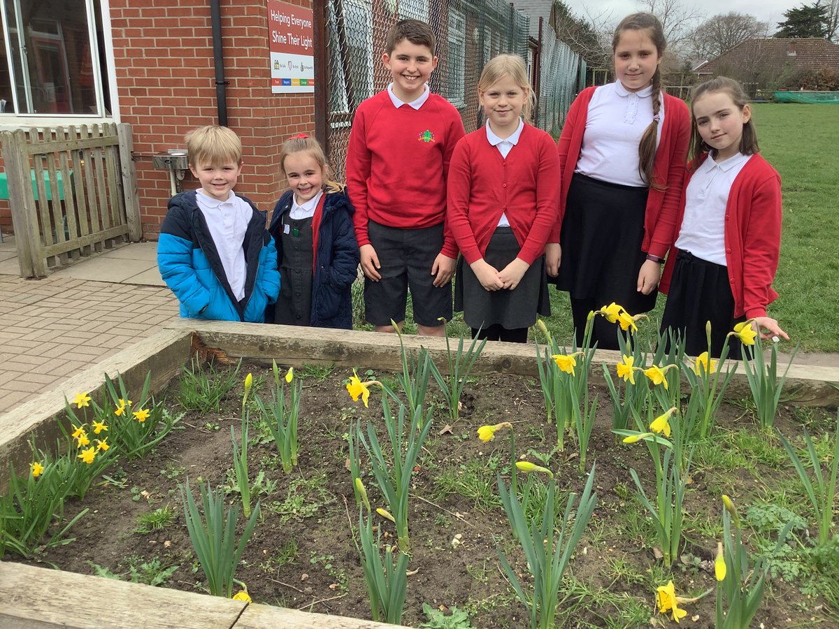 HeathlandsCEPri's tweet photo. Members of our Eco Council got to admire their autumn planting efforts today. Back in November, they worked hard to weed this area and plant these stunning spring bulbs #HVEnjoyment #HVRespect #HeathlandsEco https://t.co/2K76R16vh1