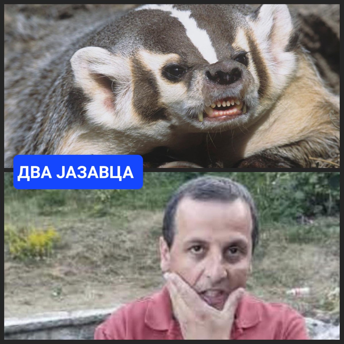 2 комада капиталца!