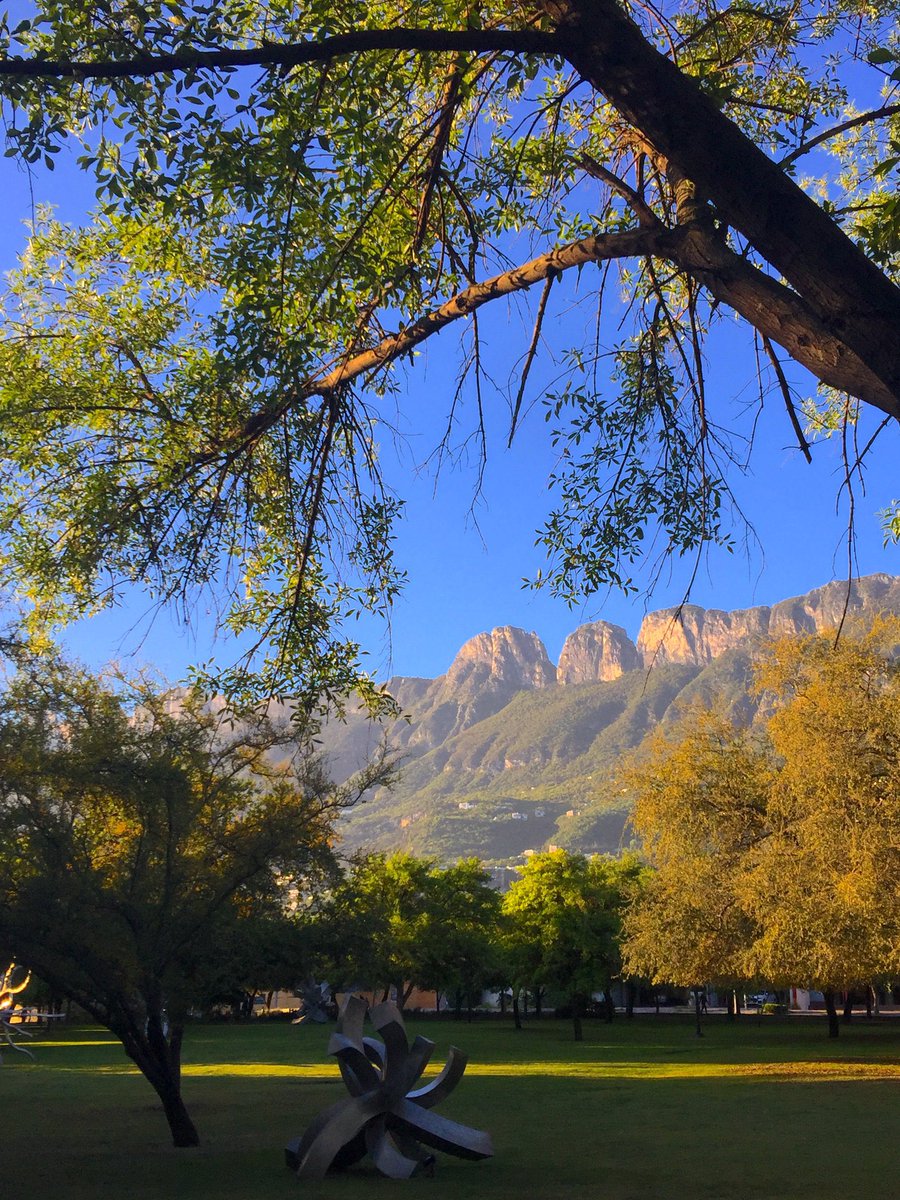 MAGS_SP's tweet photo. 😎🌳🙌🏻 #SPGG #ParqueBosques https://t.co/tp9MjlXnya