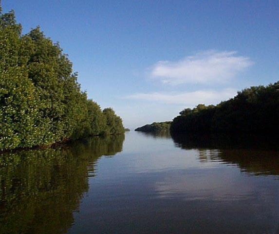 BioParques tweet media