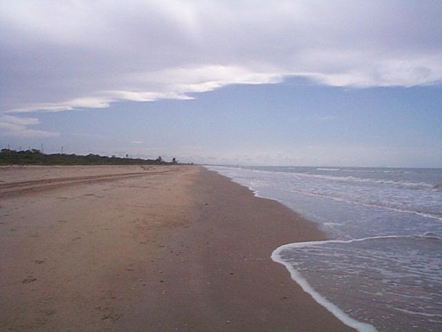 BioParques tweet media