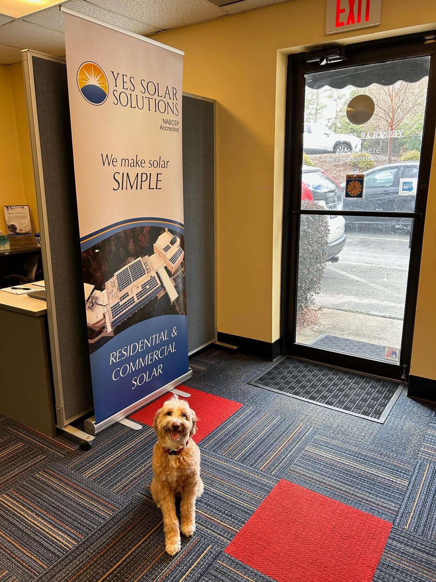 Dog days of summer? We prefer the dog days of SOLAR! Say hi to Marlow!