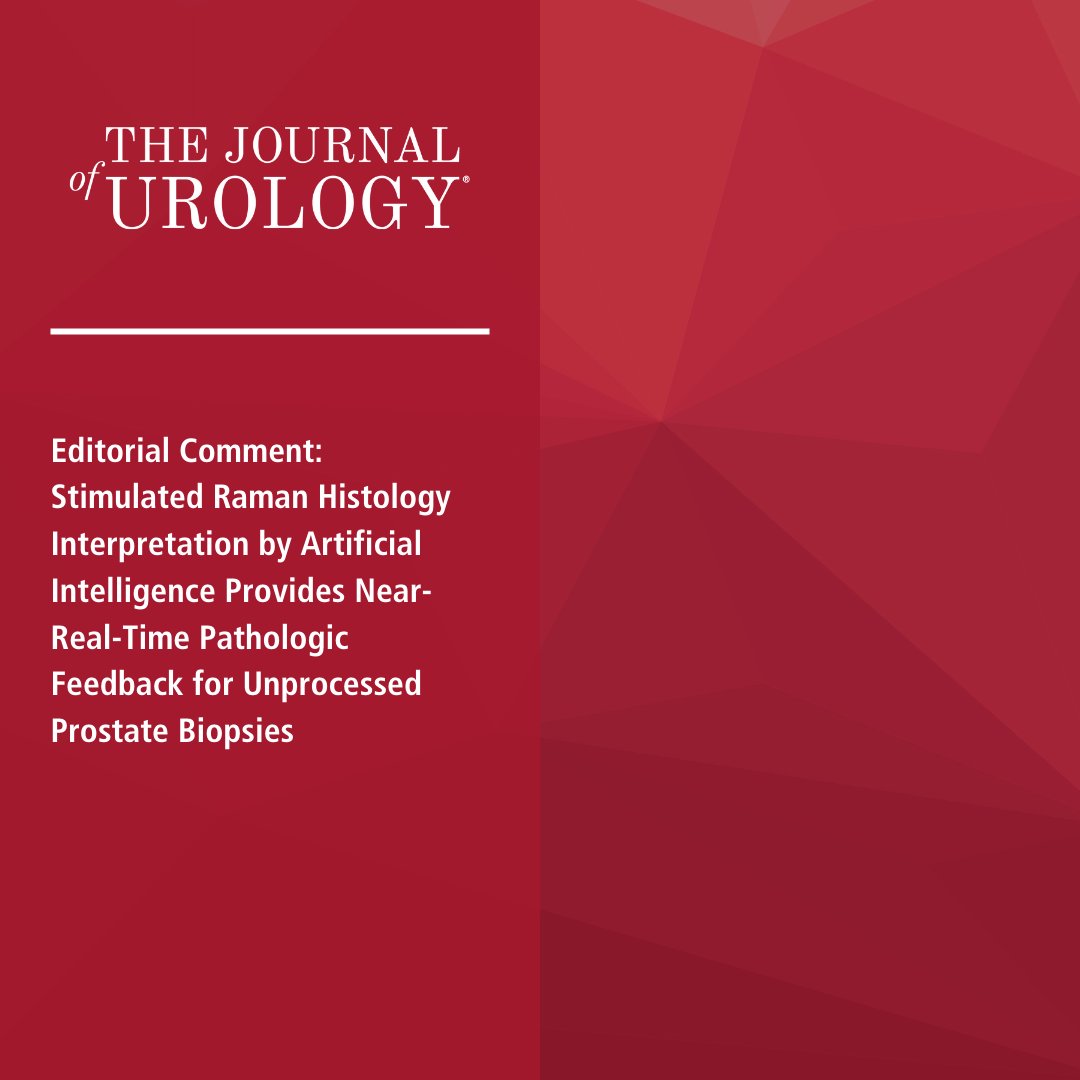 Editorial Comment: Stimulated Raman Histology Interpretation by Artificial Intelligence Provides Near-Real-Time Pathologic Feedback for Unprocessed Prostate Biopsies read full article 👉 bit.ly/49EbvEB #AUA #Urology #AUAmembers