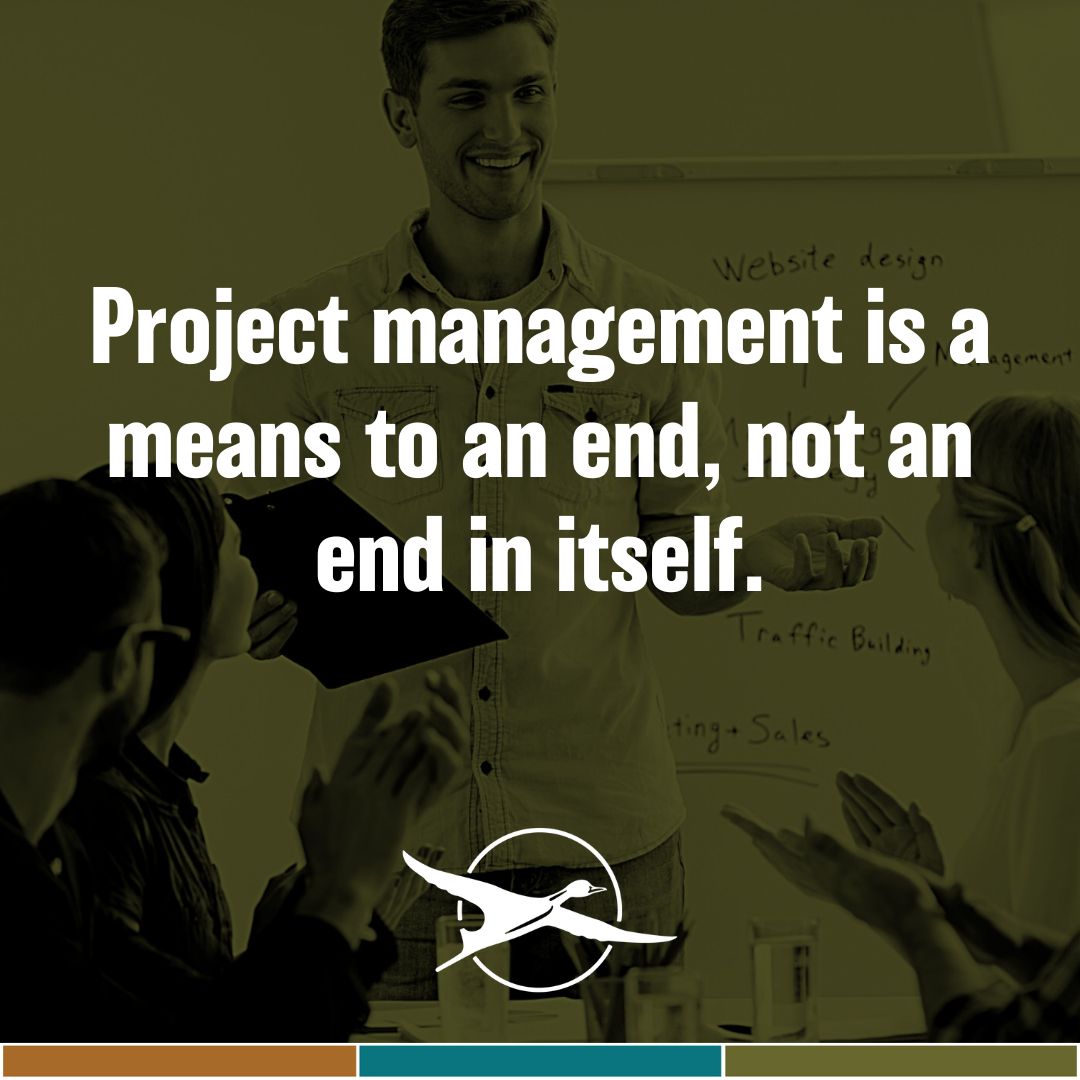 Pintail Solutions tweet media