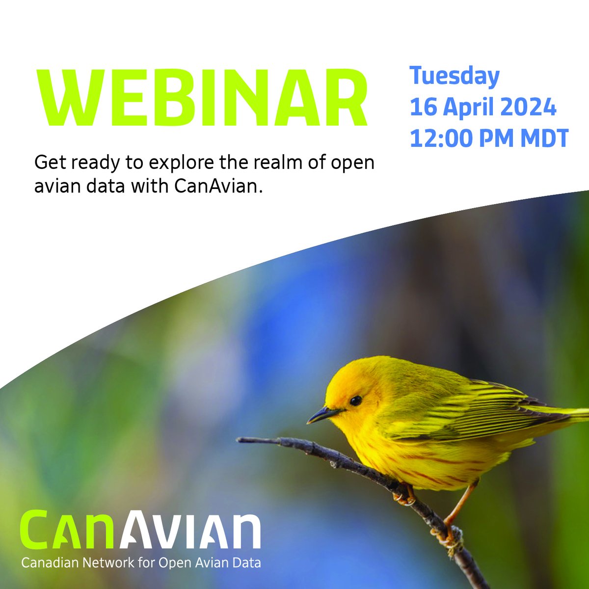 This presentation is a must-attend for anyone passionate about avian conservation and the power of shared knowledge: ow.ly/xUeR50QO3BM

#opendata #aviandata #collaborative #webinar