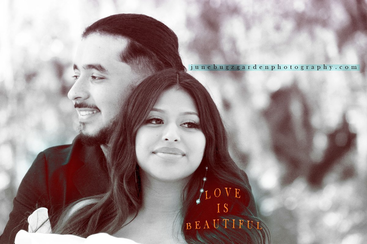 JuneBug'z Garden tweet media