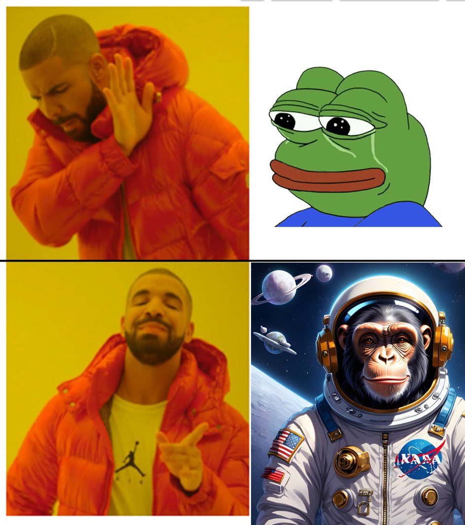 First Ape in Space tweet media