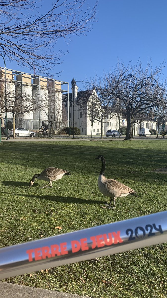 ConsulatFRAVan's tweet image. In 🇨🇦, everyone’s warming up for tomorrow’s #TerreDeJeux2024 ! 🇫🇷🇨🇦🌎

D-1 ! 🏃🏼‍♀️🏃‍♂️🚶‍♂️🚴‍♀️🚴‍♂️
@Paris2024 ⏱️🎉