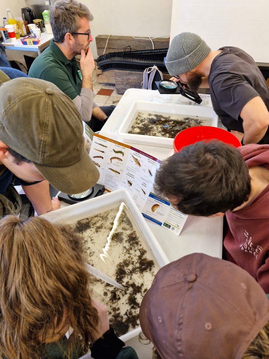 Thanks to @ARiverforall and @WTSWW for providing training on assessing water quality in the Taff River 🏞️. I've also improved skills in identifying freshwater invert’ species through kick sampling, preparing me for certification next month!
 #ecology #standfornature #riverhealth