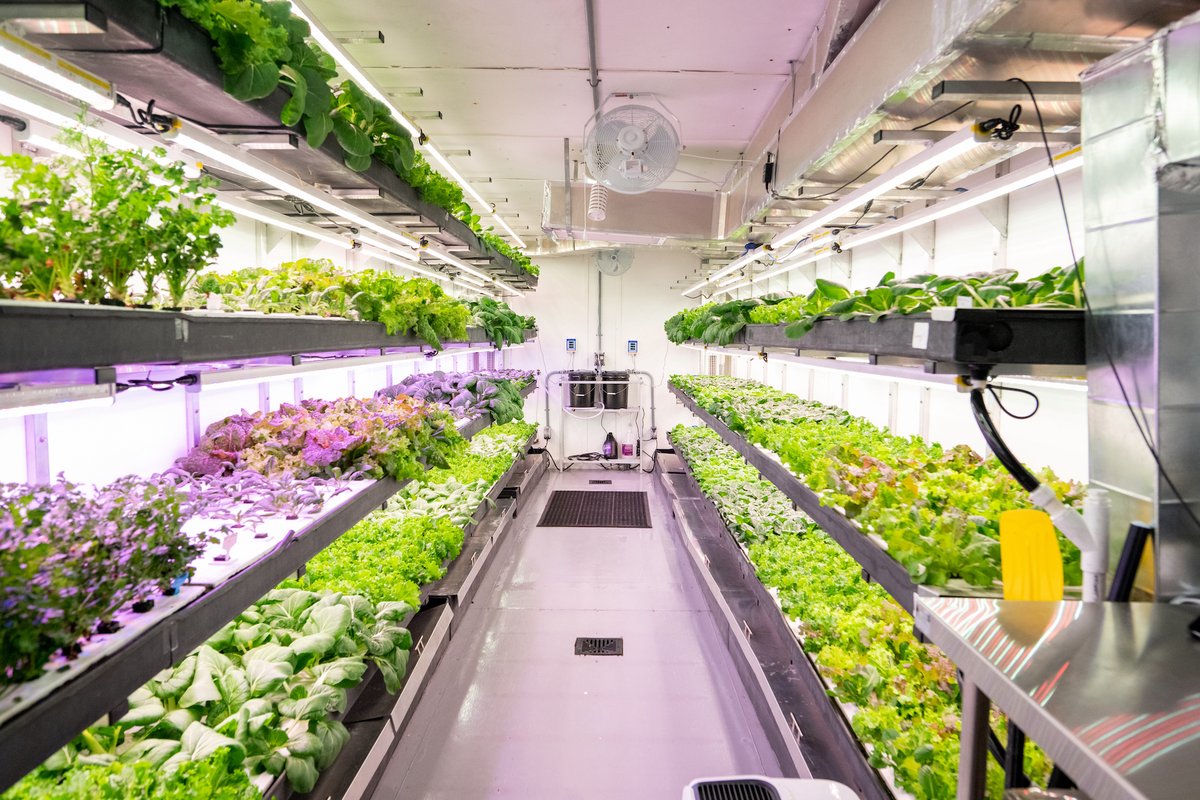 Modular (vertical) farms come in all shapes and sizes like how we have large vegetable operations, community farms, and small backyard gardens. Learn what modular farming is and how it's used across Canada to grow fresh food year-round: hubs.ly/Q02nyTq40