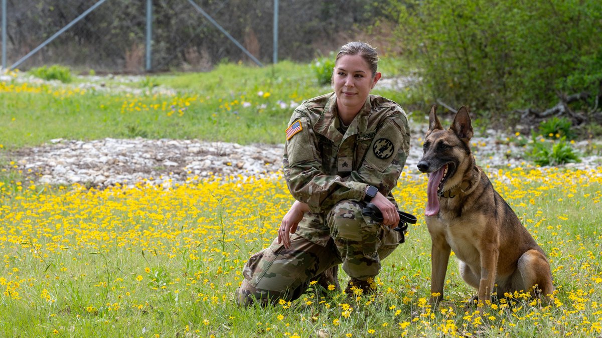 Sgt. Nicole Sisung, a military working dog handler, assigned to 226th Military Police detachment, 720th Military Police Battalion, 89th Military Police Brigade, poses for a photo with her military working dog, Szafi at Fort Cavazos, TX. #K9VeteransDay #ServiceDogs #Heros
