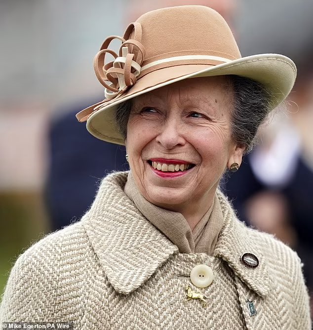 Can we just appreciate how beautiful our favourite Royal Princess Anne The Princess Royal looked today at the Cheltenham Festival #PrincessAnne #PrincessRoyal #CheltenhamFestival2024 #Cheltenham