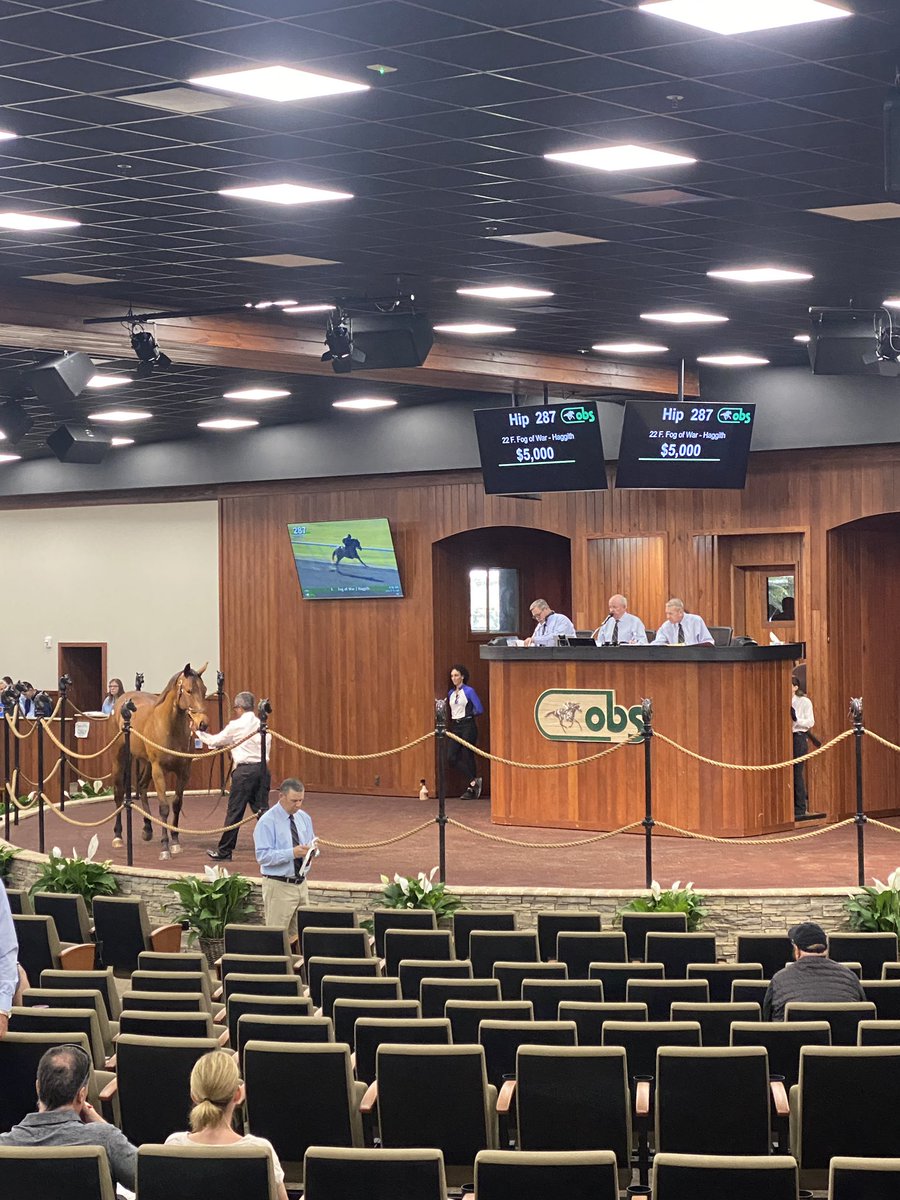 🚨 Day 2 of the @OBSSales March Sale of 2-Year-Olds in Training 🏇🏽 has begun, stay tuned to @BloodHorse for all the news 📰