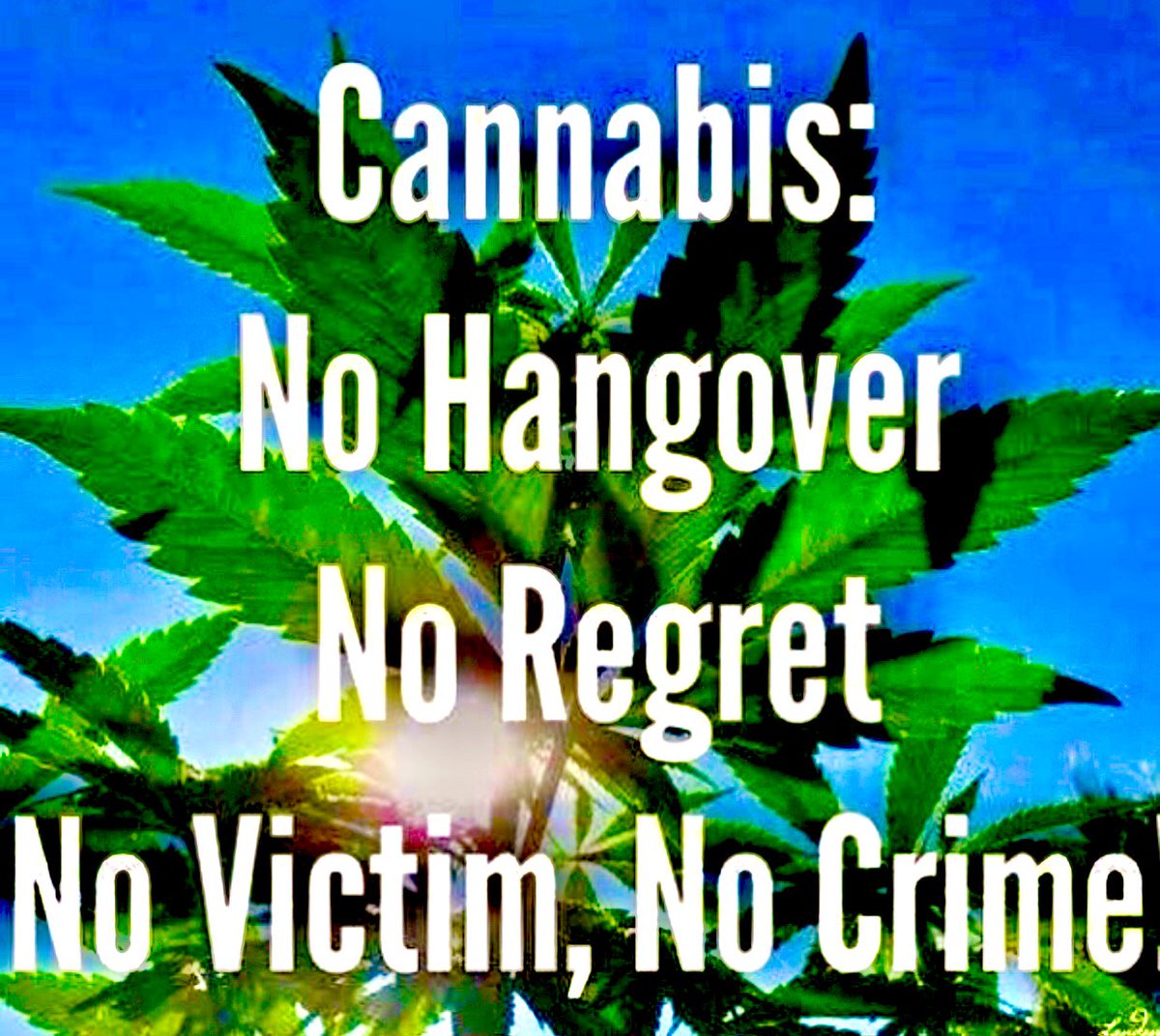 #Cannabis…It’s time to #EndTheStigma🍃🔥😮‍💨