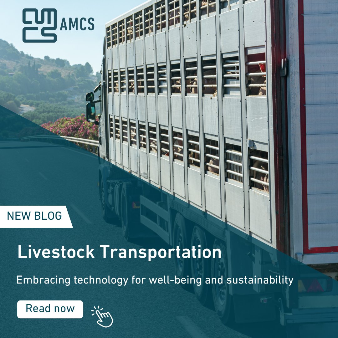 🚛 Dig into our latest blog post about Livestock Transportation - click here to read more: amcsgroup.com/blogs/livestoc…

#Livestock #LivestockIndustry #Agriculture #Sustainability #AnimalWelfare #DigitalTransformation #AMCS #EnvironmentalServices