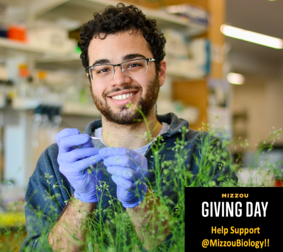 MizzouBiology tweet media