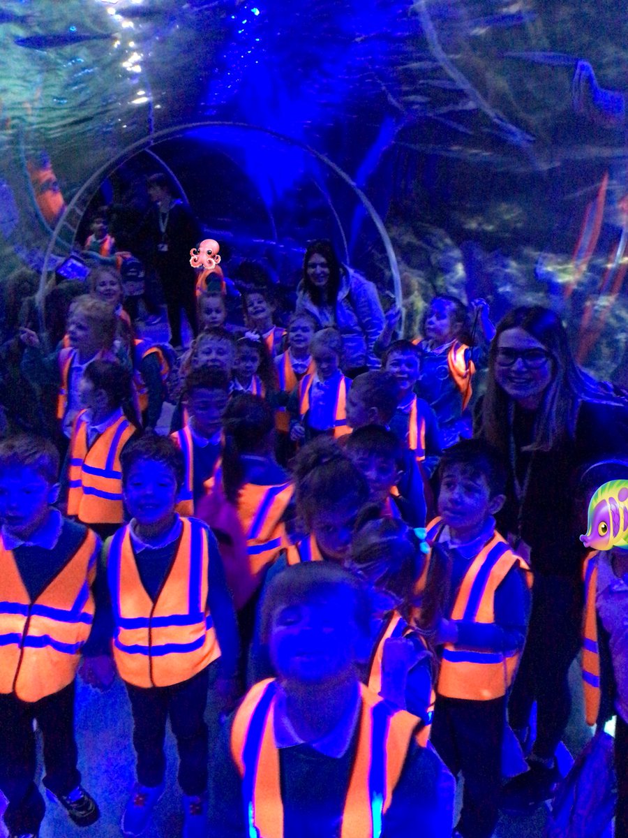 Thank you for a brilliant day <a href="/sealifebham/">SEA LIFE Birmingham</a> !! 🐚🐠🐙