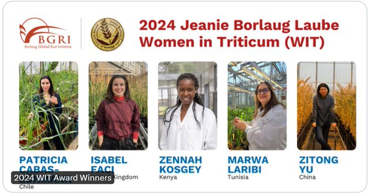 🎉Congratulations everyone!👏

Proud of the recipients of the 2024 Jeanie Borlaug Laube Women in Triticum - WIT Early Career Awards, honoring #ExcellenceInScience & leadership for a wheat-secure future.

#Read about the amazing work they are already doing: bit.ly/4cfTVZK