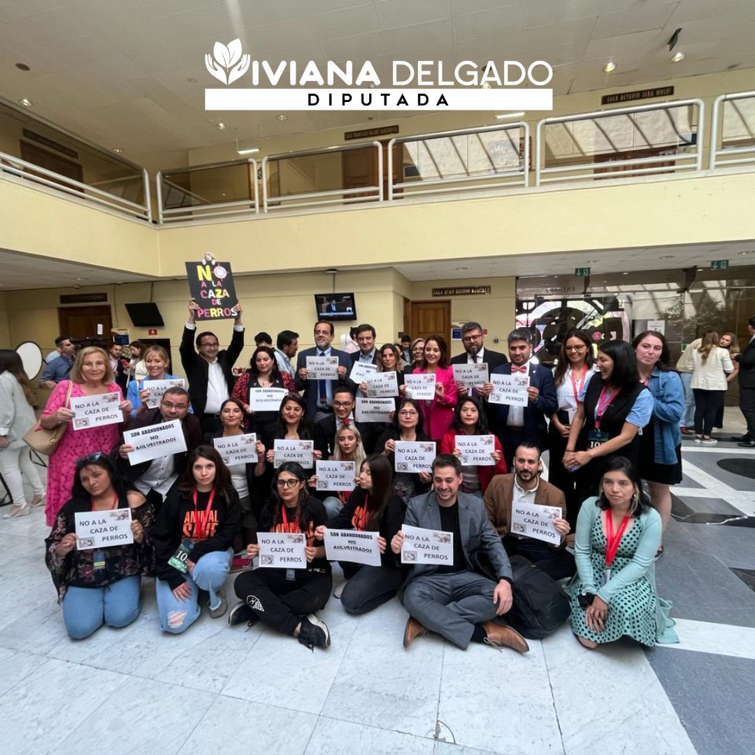 vivianadiputada's tweet photo. ¡NO A LA CAZA DE PERROS! 

Diputados, agrupaciones animalistas y todos los amantes de los animales le decimos NO al proyecto que declara a los perros asilvestrados como especie exótica y permite su caza.

Defendamos sus derechos con la Comisión de Protección y Bienestar Animal. https://t.co/SwajvgvudV
