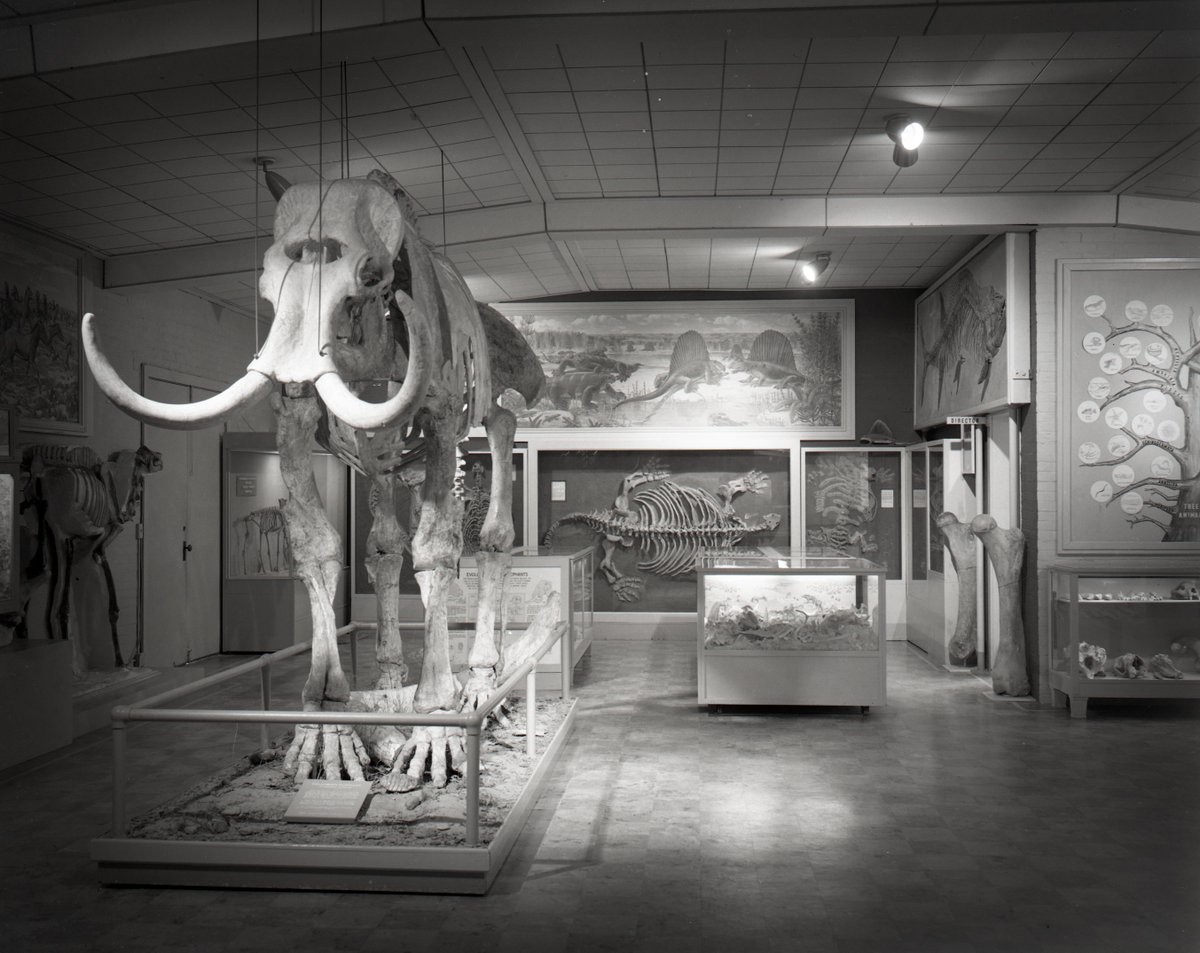 SamNobleMuseum's tweet photo. In 1947 the museum moved into the old ROTC building and was renamed the Stovall Museum of Science and History. (3/5) https://t.co/FUvGEDBByH
