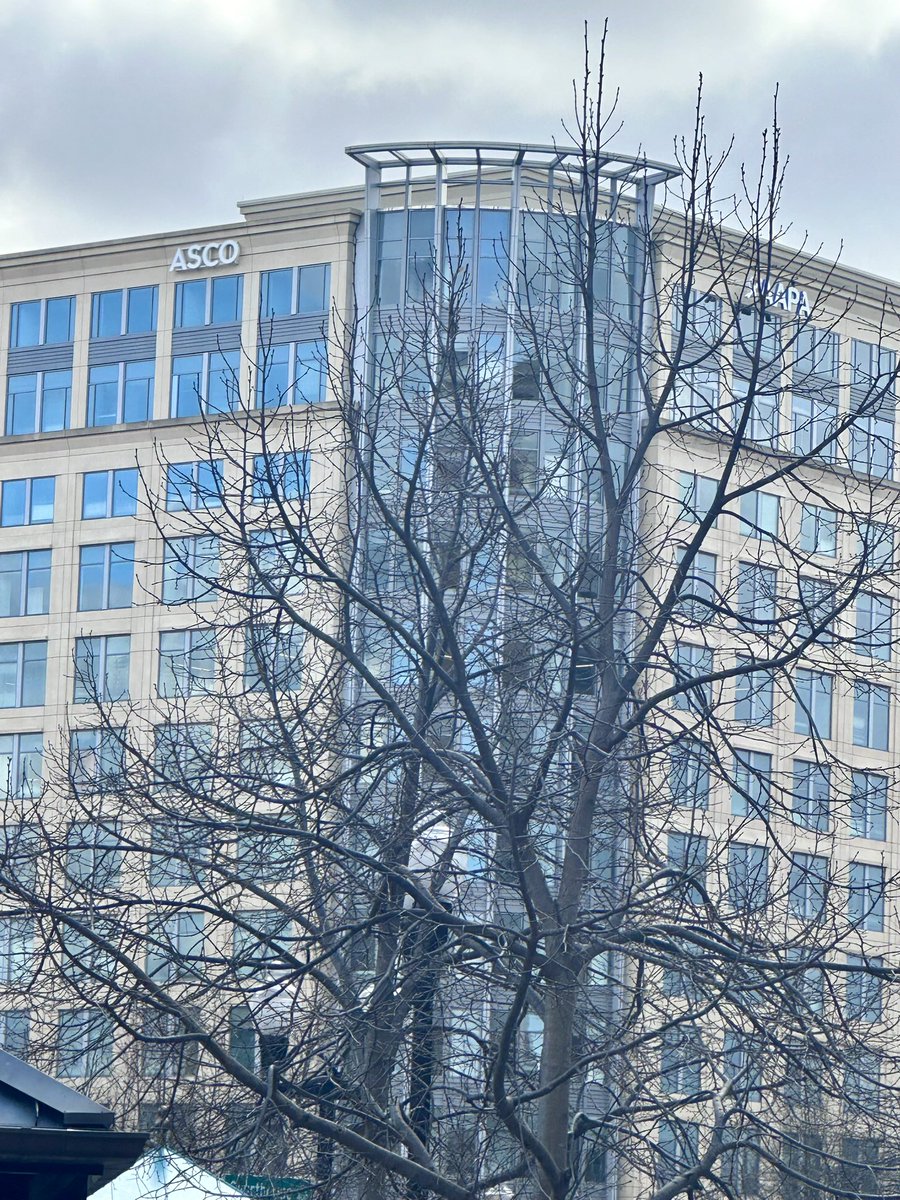 Yüksel Ürün tweet media