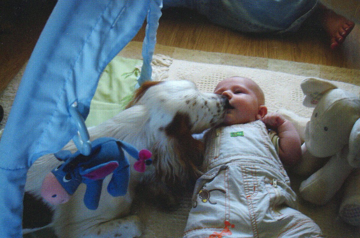 Clara Cluck tweet media