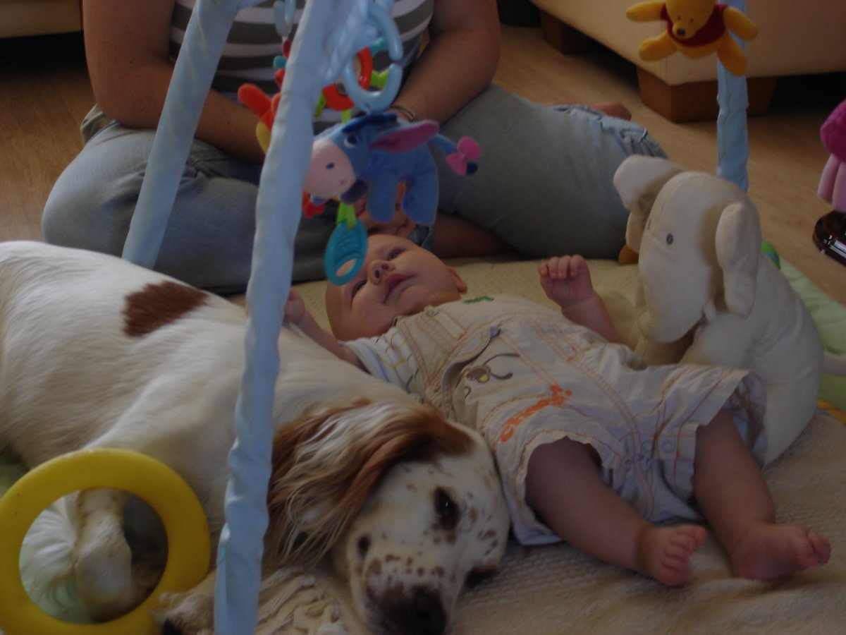 Clara Cluck tweet media