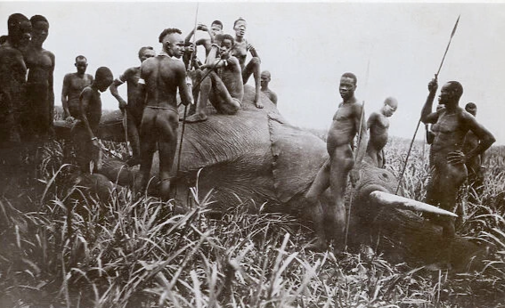 Una elefante cazado con lanza en Sudán del Sur. Una imagen de hace 100 años pero que podría ser de hace 100.000.