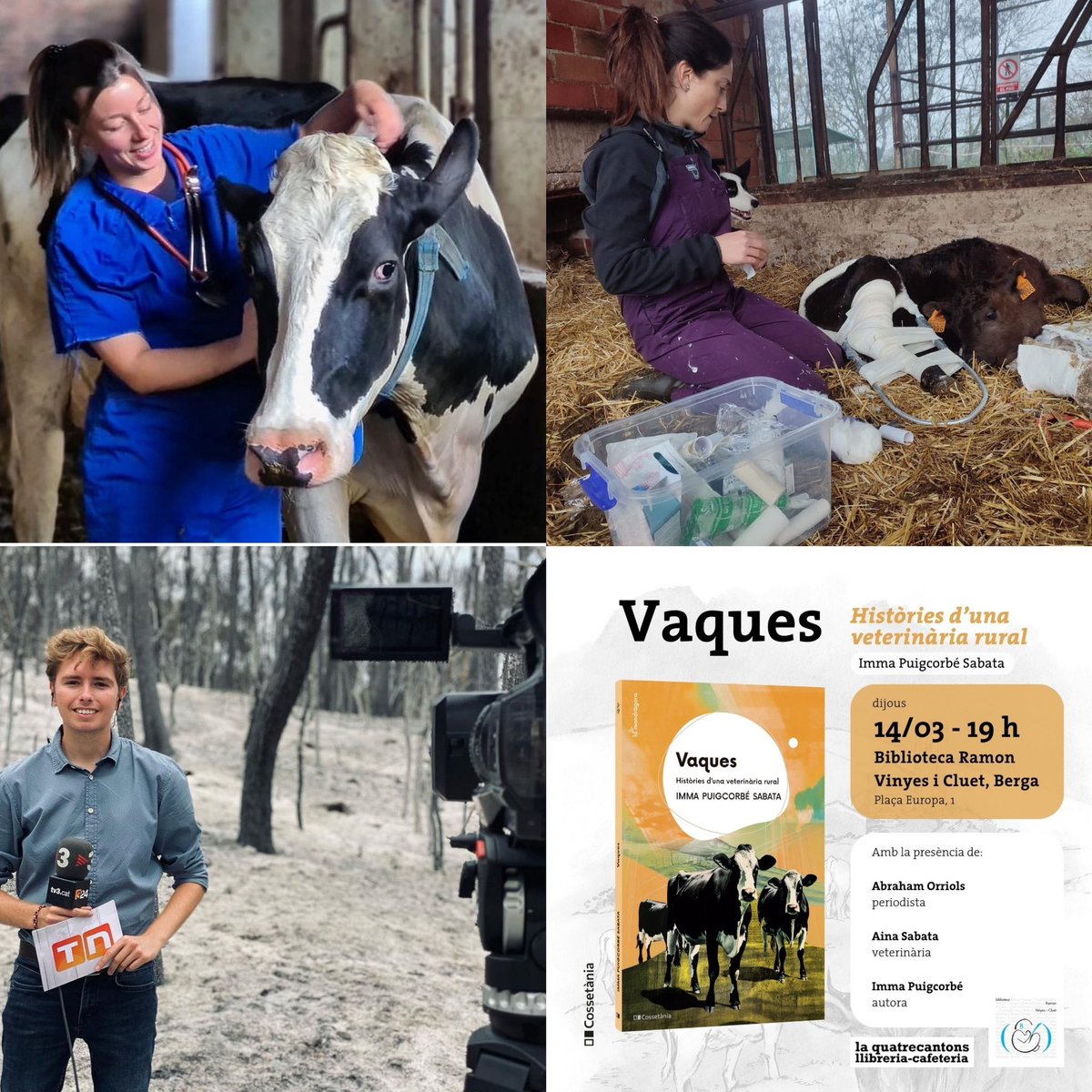 immaps's tweet photo. Demà a la Biblioteca Ramon Vinyes triem les vaques a pasturant amb un equip de luxr: l’ @ainasc26 veterinària de boví i l’ @AbrahamOrriols periodista i autor d’una Vida a les Muntanyes! Berguedans i berguedanes us hi esperem!!! https://t.co/3ExHcYA8b2