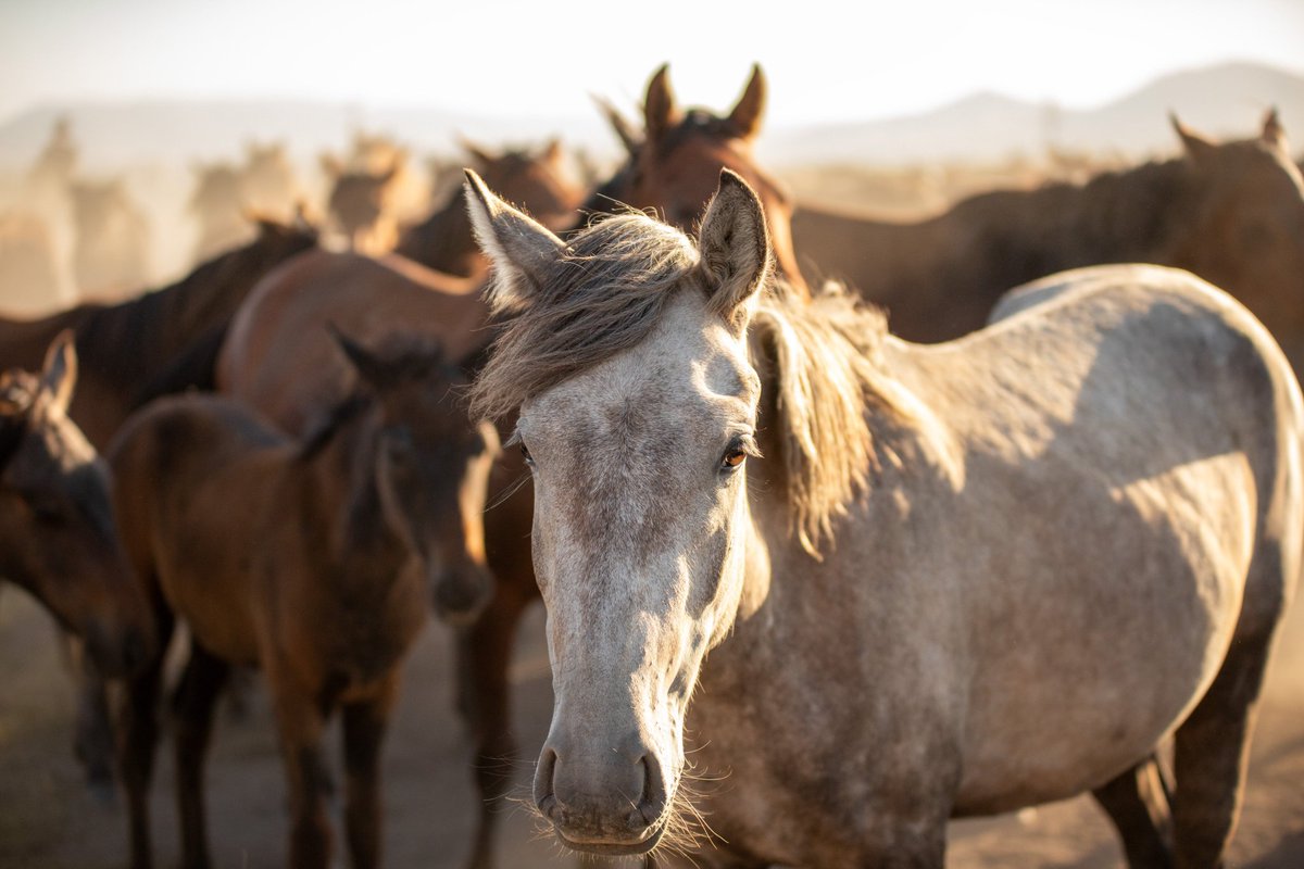 Bilal ESKİOĞLU tweet media