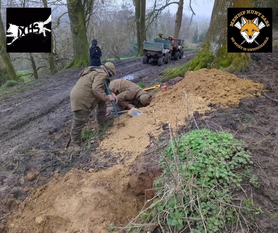 📢 𝗕𝗥𝗘𝗔𝗞𝗜𝗡𝗚 𝗡𝗘𝗪𝗦 📢 𝗦𝗔𝗕𝗦 𝗦𝗔𝗩𝗘 𝗙𝗢𝗫 𝗙𝗥𝗢𝗠 𝗗𝗜𝗚 𝗢𝗨𝗧 Devon County Hunt Saboteurs and Mendip Hunt Sabs have today been at a hunt near Colyton, where they came across terrier men digging out at a badger sett.