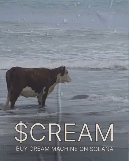 CreamMachineSOL's tweet photo. $CREAM RULES EVERYTHING AROUND ME https://t.co/OPUNOBKwDy