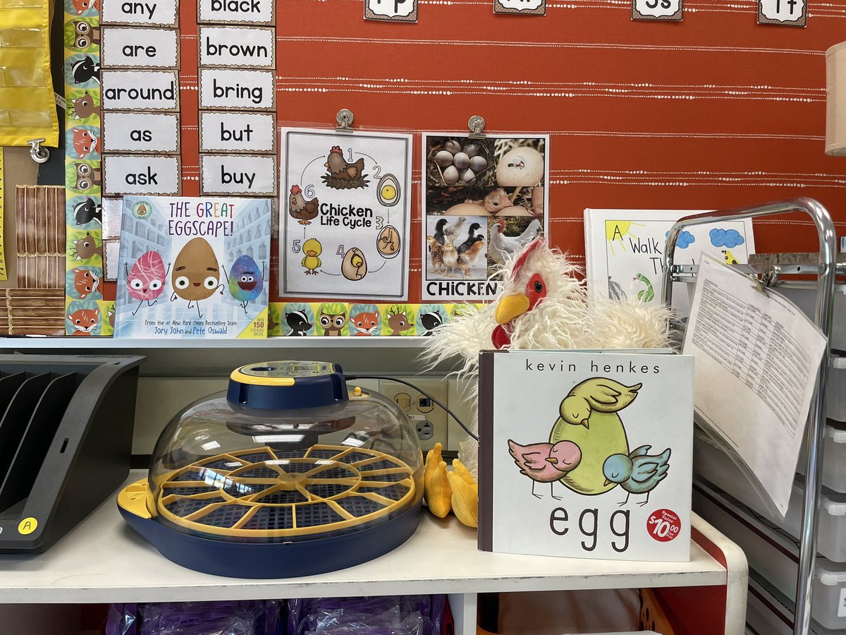 MissFrye14's tweet photo. We are not so patiently waiting for our chicks to hatch! One week to go. https://t.co/wZmWr9NHgo