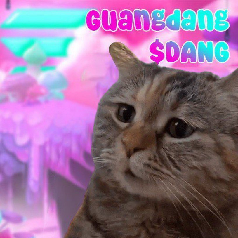 $DANG based on the famous cat started trending dexscreener.com/solana/byioszu…