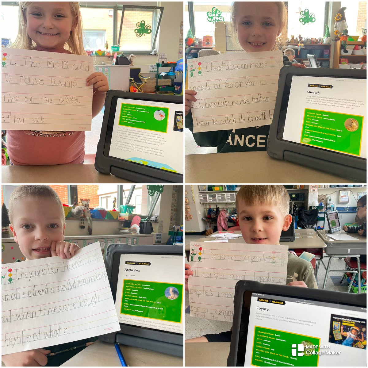 MissFrye14's tweet photo. We have been busy bees in Room 105! In honor of Read Across America, we are using @studentreasures to publish our own book. The kids have been working so hard! I can’t wait to see the final product. ❤️😊 https://t.co/tUinxa1gGg