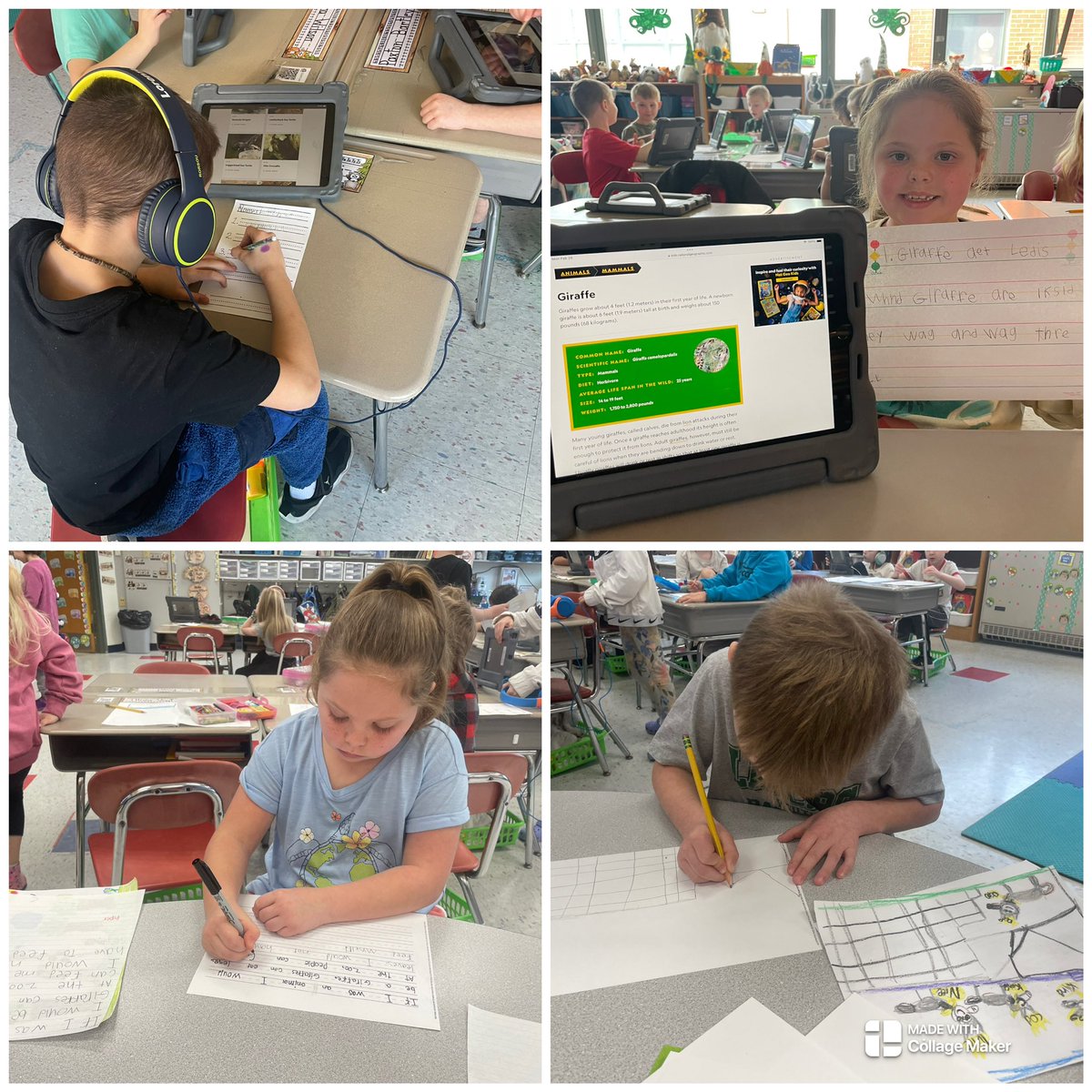 MissFrye14's tweet photo. We have been busy bees in Room 105! In honor of Read Across America, we are using @studentreasures to publish our own book. The kids have been working so hard! I can’t wait to see the final product. ❤️😊 https://t.co/tUinxa1gGg