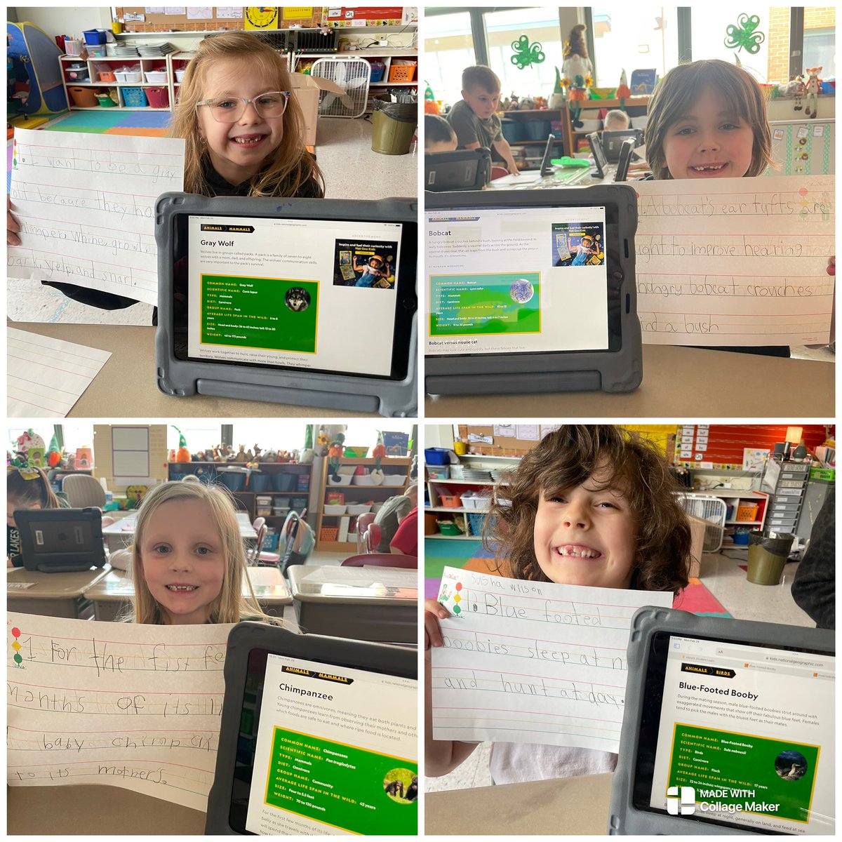 MissFrye14's tweet photo. We have been busy bees in Room 105! In honor of Read Across America, we are using @studentreasures to publish our own book. The kids have been working so hard! I can’t wait to see the final product. ❤️😊 https://t.co/tUinxa1gGg