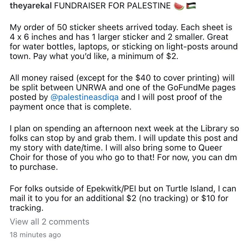 raising funds for Palestine selling sticker sheets of my artwork. 🍉❤️