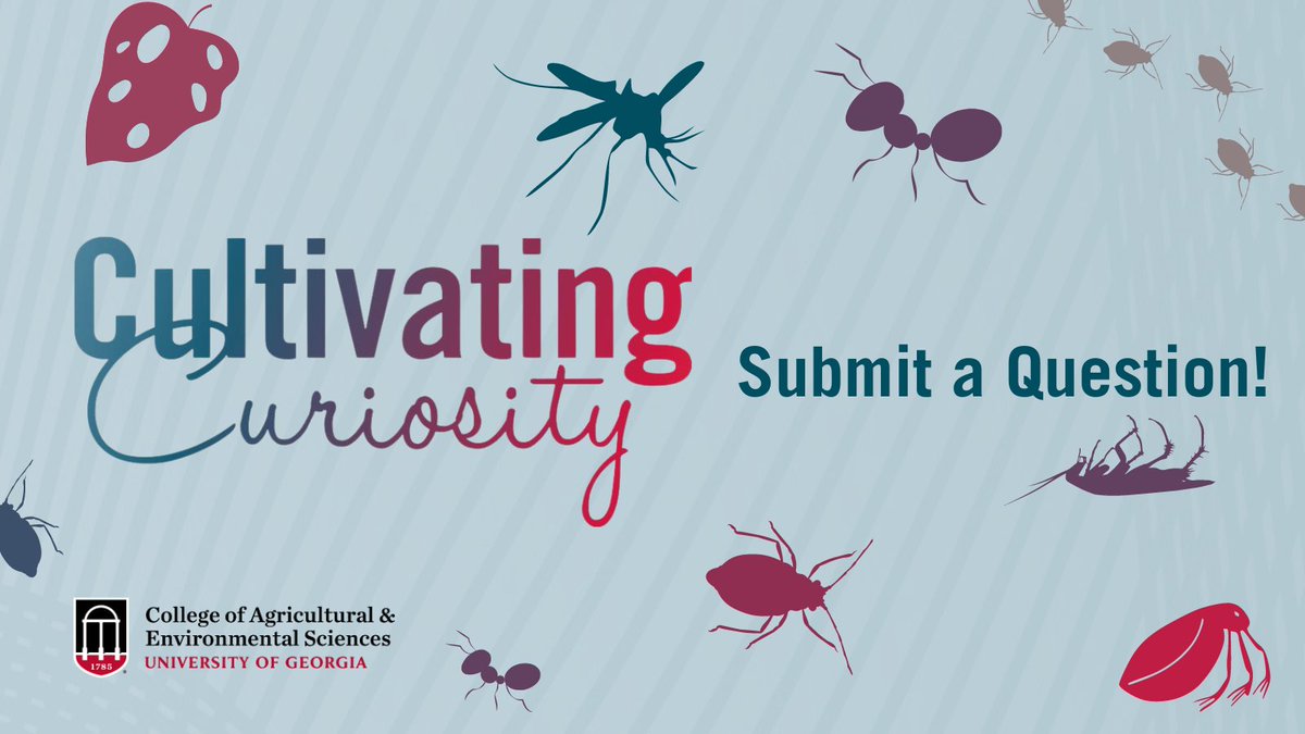 Comment on this post with your questions related to pests for a chance to get featured on our upcoming #CultivatingCuriosity podcast episode! We've planned a deep dive into the world of pests with pest management company @OrkinPest and @Entomology_UGA professor Dan Suiter.