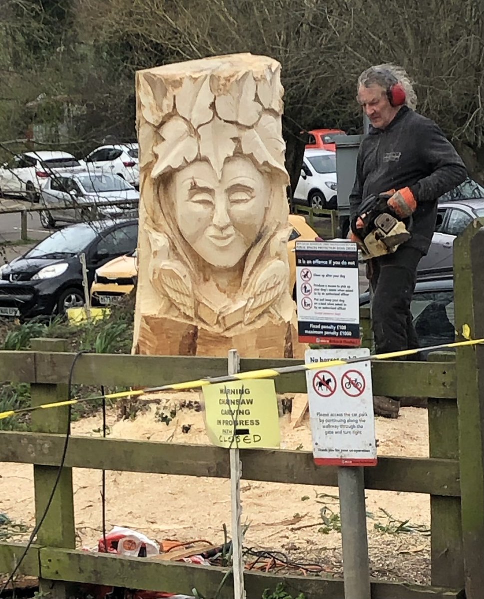 Amazing chainsaw tree sculpture in Guisborough Woods