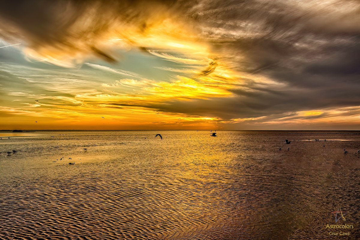 CesarCantuQ's tweet photo. Recuerdo playero.
#Astrocolors https://t.co/zCGb8Jqlso